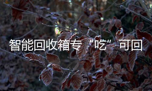 可回收回收箱专智能吃垃圾